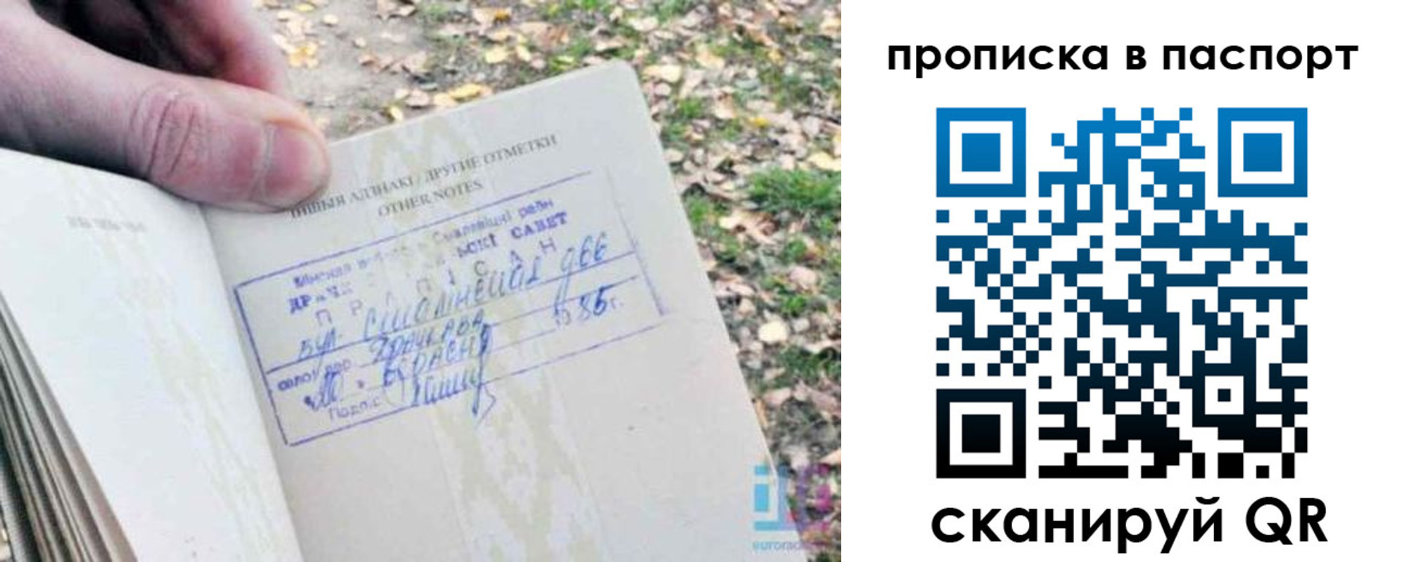 купить прописку в Сосенском